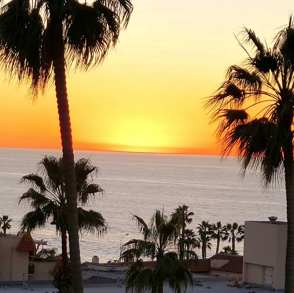 Meet your Posher, Rory - Picture 4 of 4